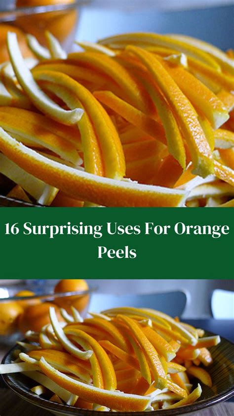 The Surf Curse Orange Peel Handbook: Everything You Need to Know